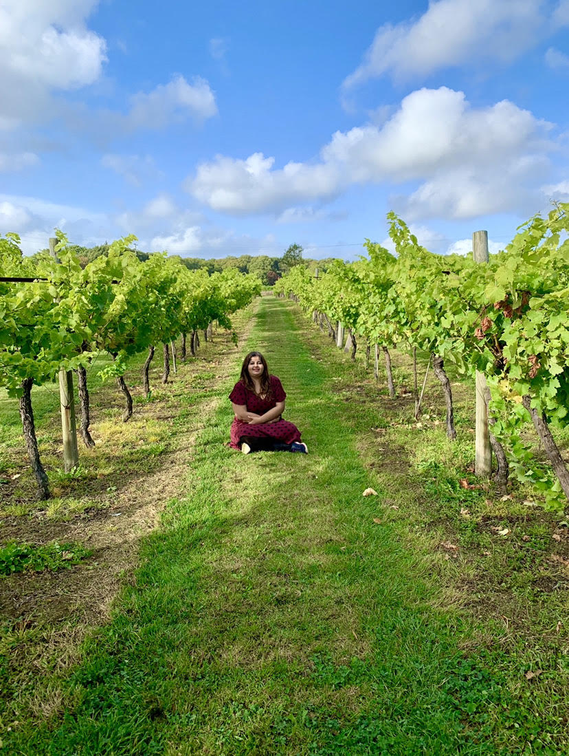 Biddenden Vineyards, Kent, UK.