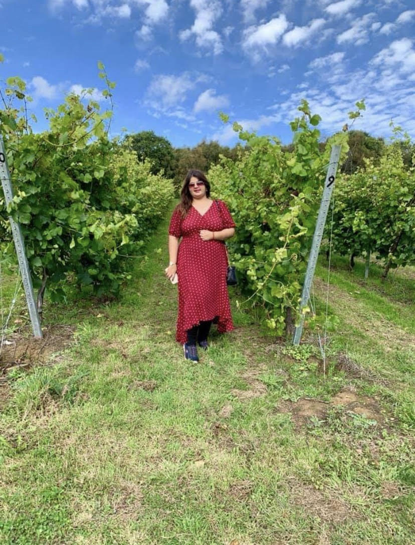 Bolney Wine Estate, Sussex, UK.